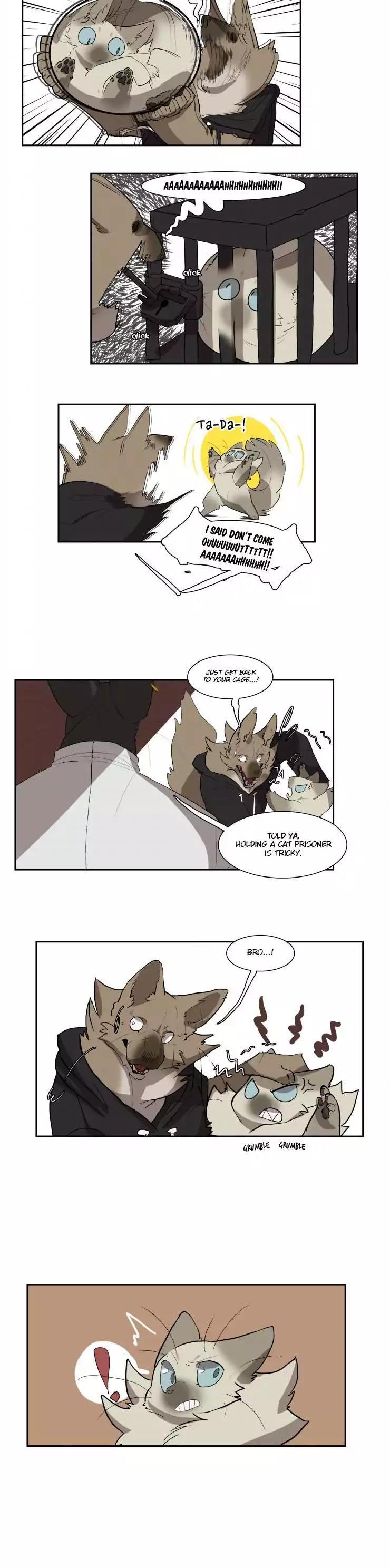 Miss Kitty and Her Bodyguards Chapter 36 page 11 - Chapter 36