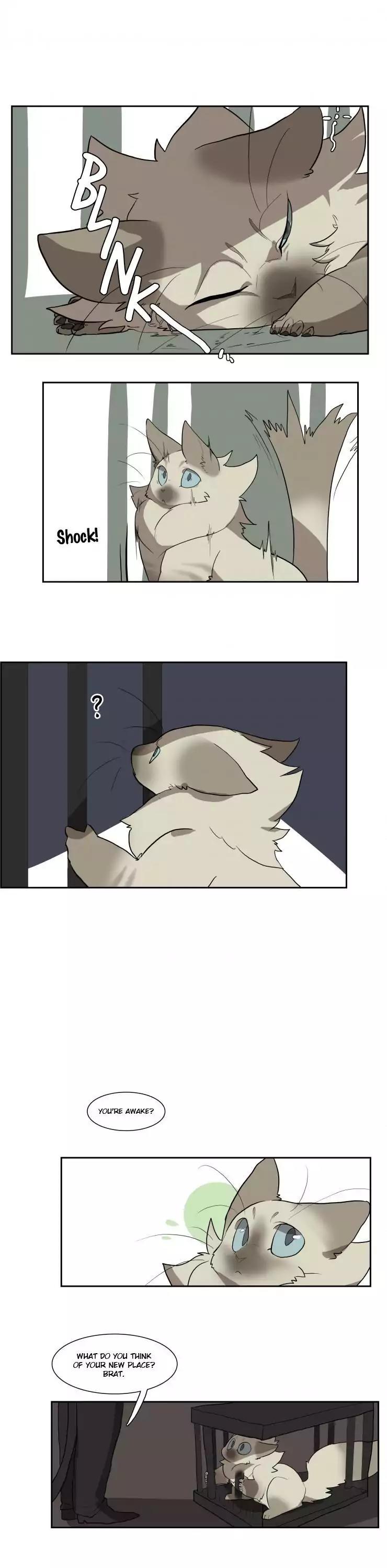 Miss Kitty and Her Bodyguards Chapter 36 page 9 - Chapter 36