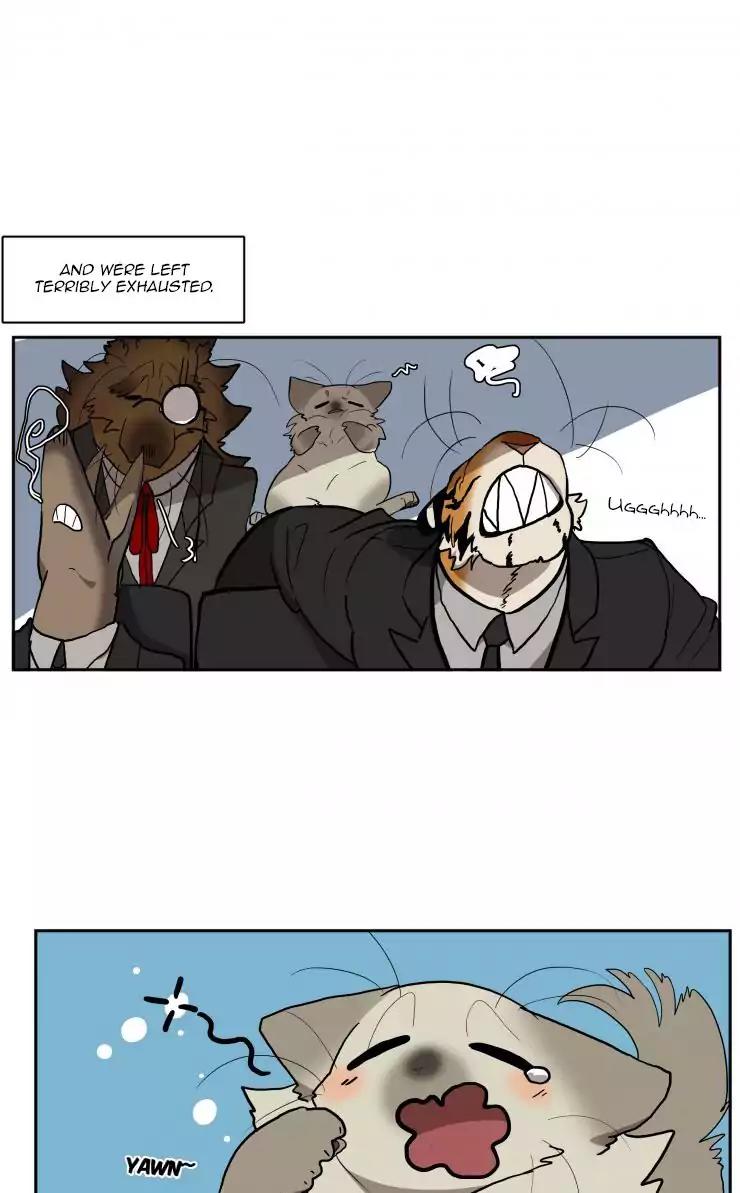 Miss Kitty and Her Bodyguards Chapter 62 page 9 - Chapter 62