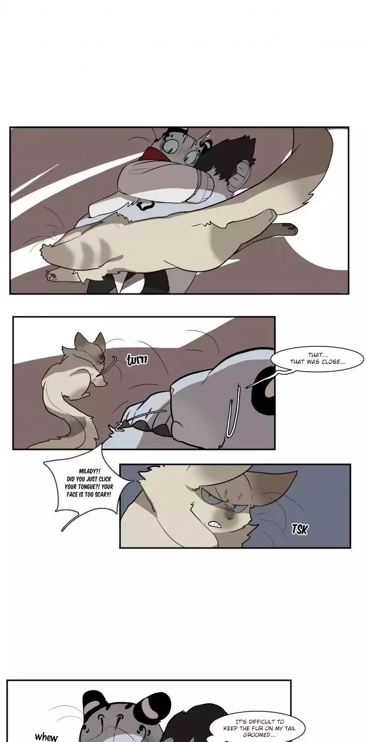 Miss Kitty and Her Bodyguards Chapter 63 page 7 - Chapter 63