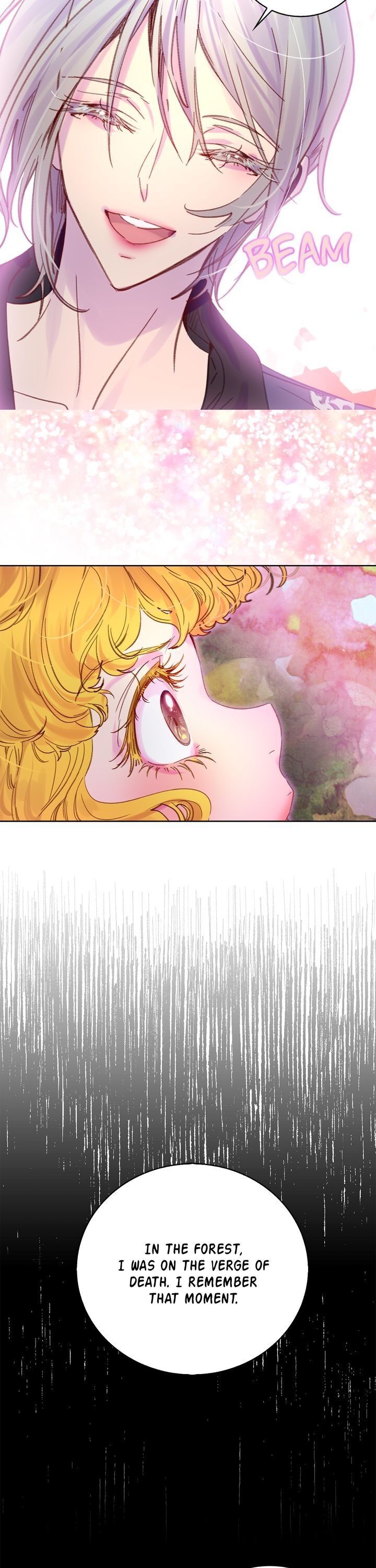 Miss Not-So Sidekick Chapter 116 page 5 - Chapter 116