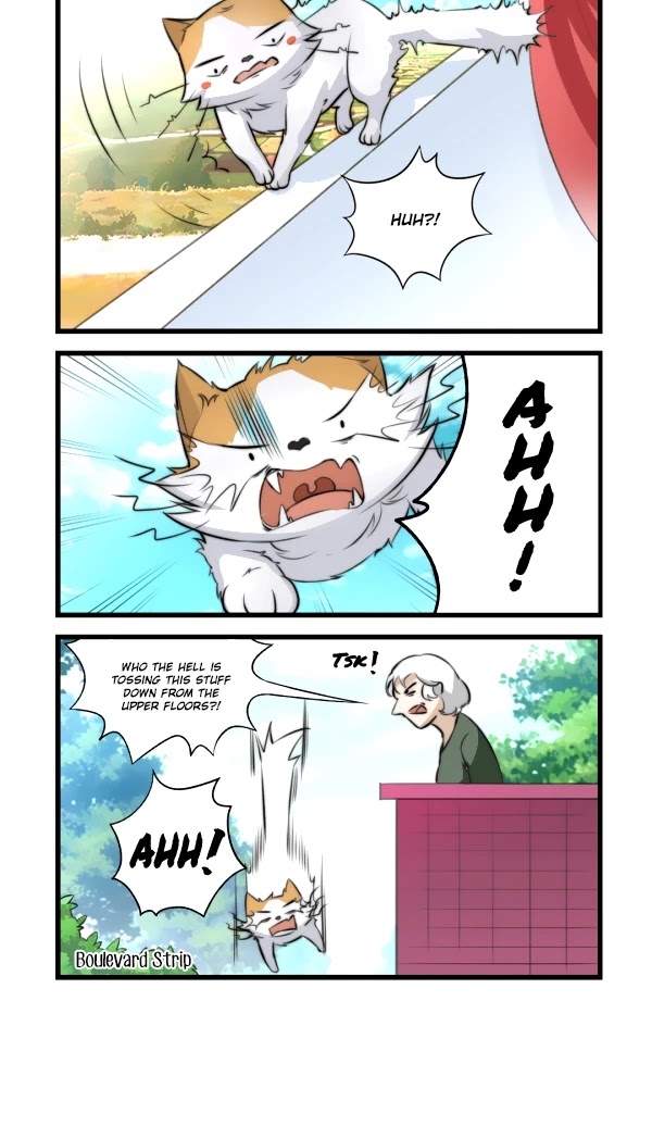 Mister Cat Chapter 23 page 6 - Chapter 23: Fighting For Attention