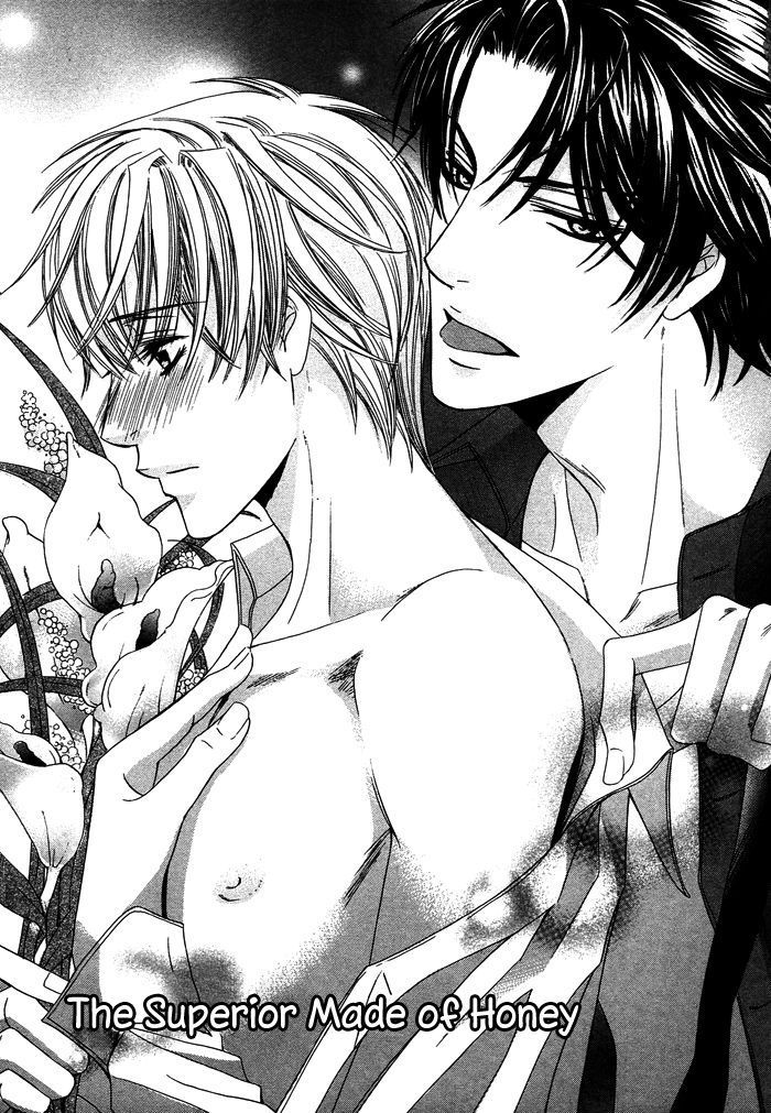 Mitsu no Tsumatta Joushi Chapter 1 page 10 - Chapter 1 : The Superior Made of Honey