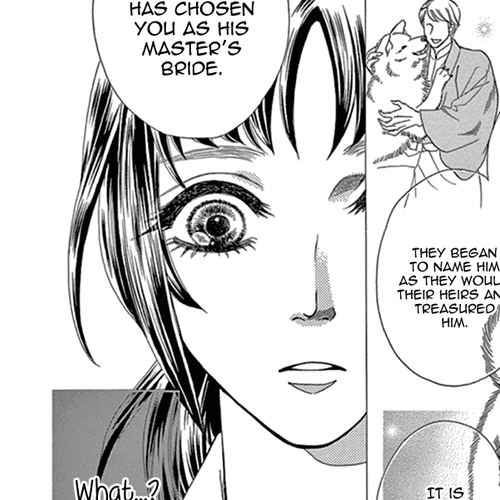 Mitsuyokon - Tsukumogami no Yomegoryou Chapter 23: A Memory cover