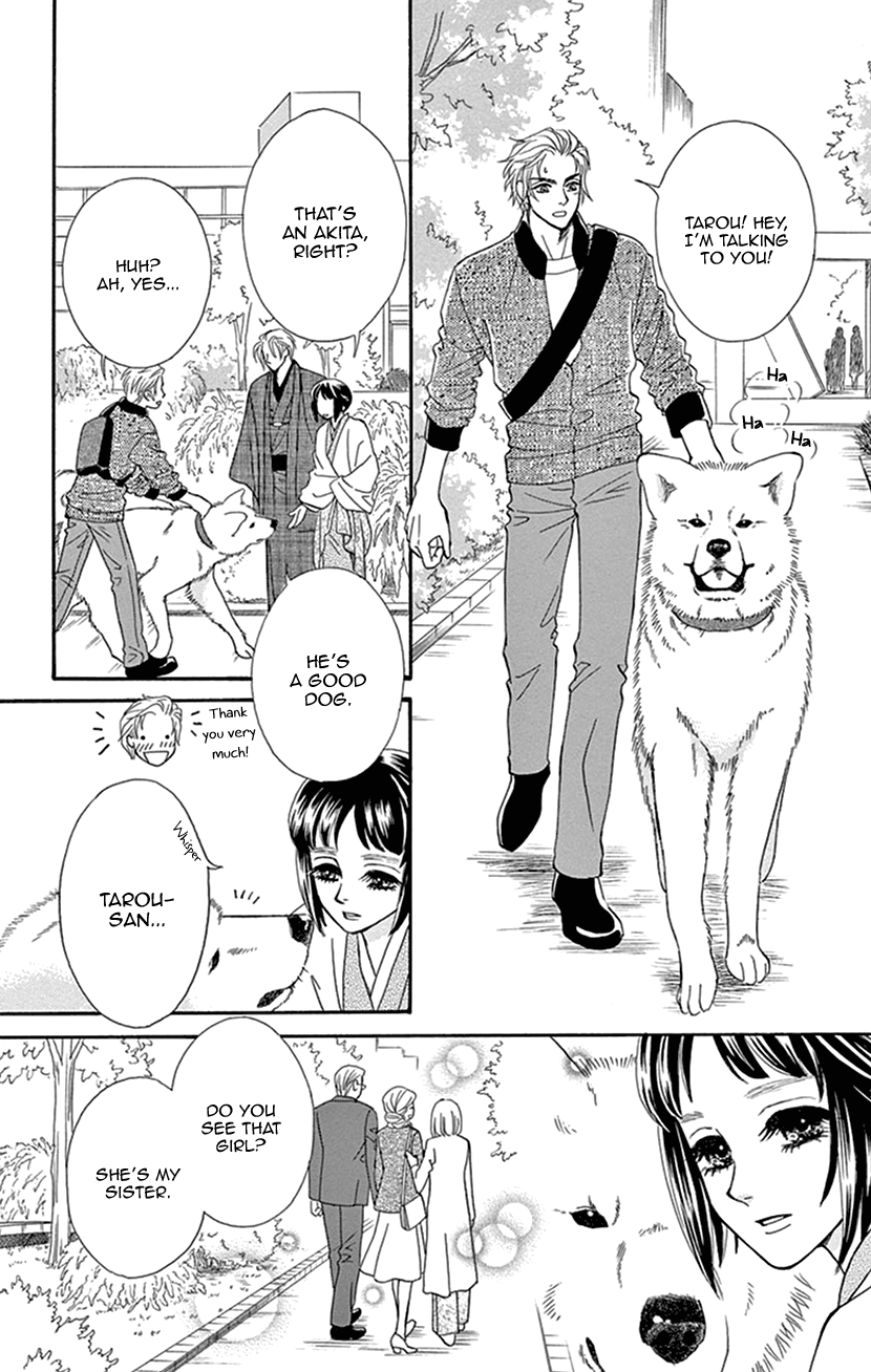 Mitsuyokon - Tsukumogami no Yomegoryou Chapter 39 page 19 - Chapter 39: Husband and Wife [END]