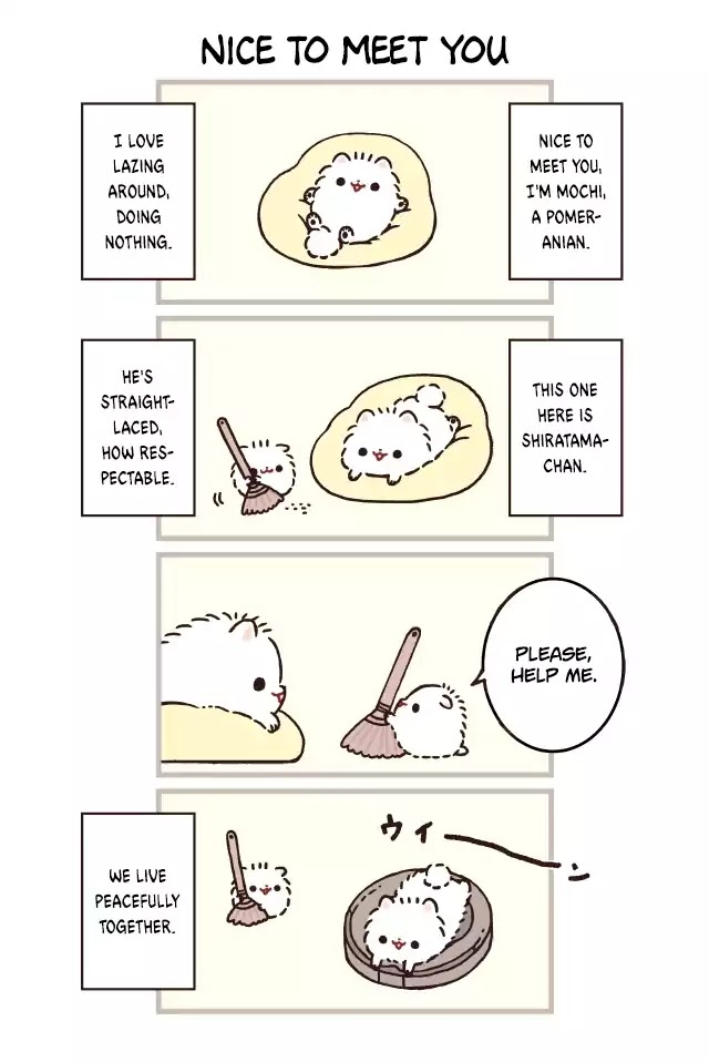 Mochi Is A Pomeranian Chapter 1 page 1 - Chapter 1: Nice To Meet You