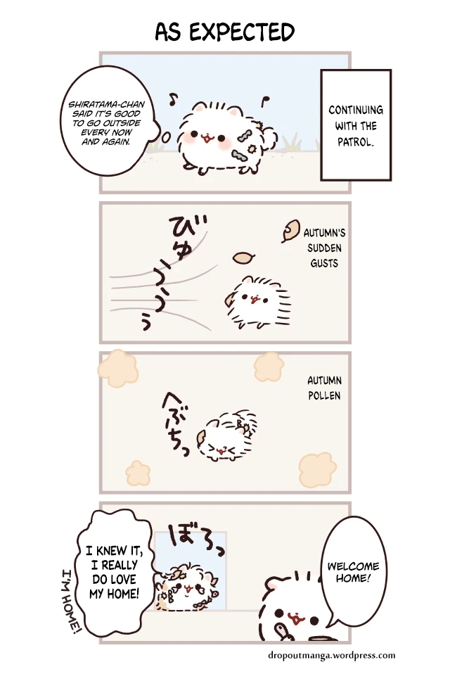Mochi Is A Pomeranian Chapter 20 page 1 - Chapter 20: As Expected