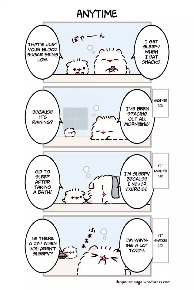 Mochi Is A Pomeranian Chapter 24 page 1 - Chapter 24: Anytime