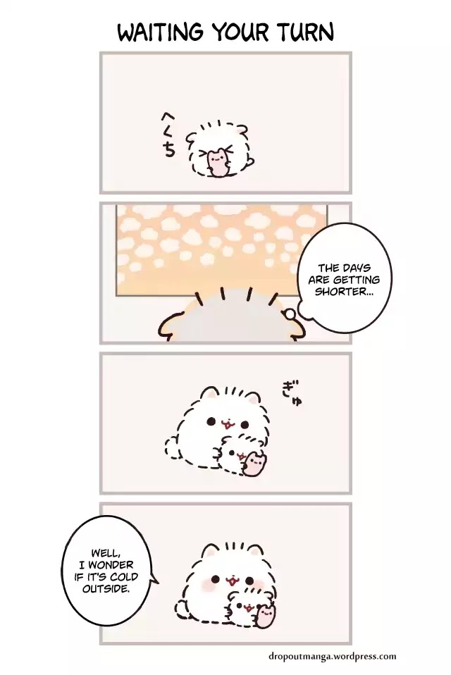 Mochi Is A Pomeranian Chapter 26 page 1 - Chapter 26: Waiting Your Turn