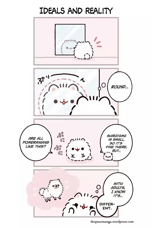 Mochi Is A Pomeranian Chapter 3 page 1 - Chapter 3: Ideals And Reality