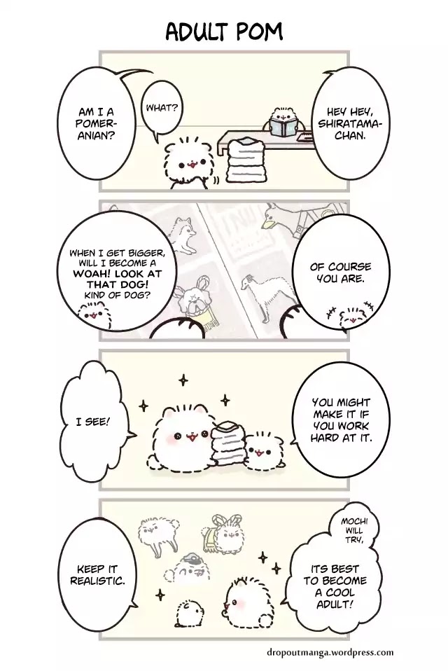 Mochi Is A Pomeranian Chapter 4 page 1 - Chapter 4: Adult Pom