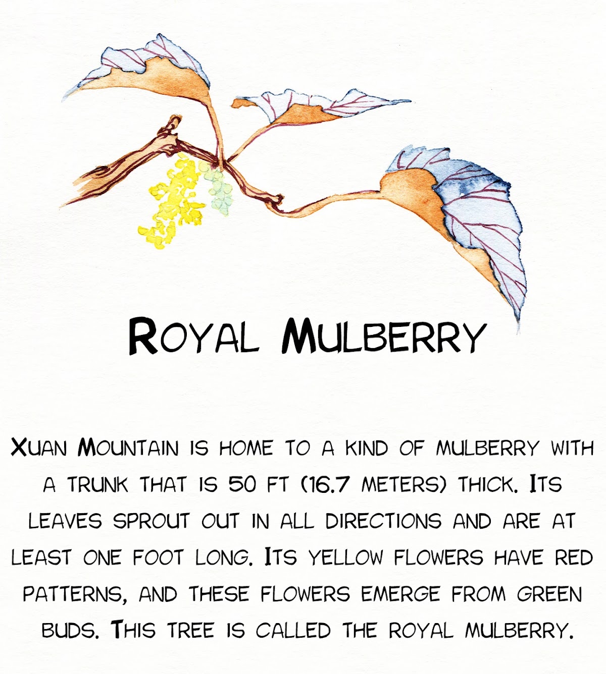 Modern Life of Immortal Demons: Illustration Edition Chapter 3 page 4 - Chapter 3 : Wildlife