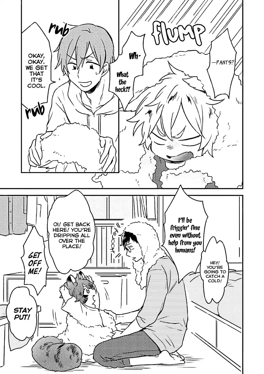Mofumofu no Kamisama Sagashi Chapter 1 page 35 - Chapter 1