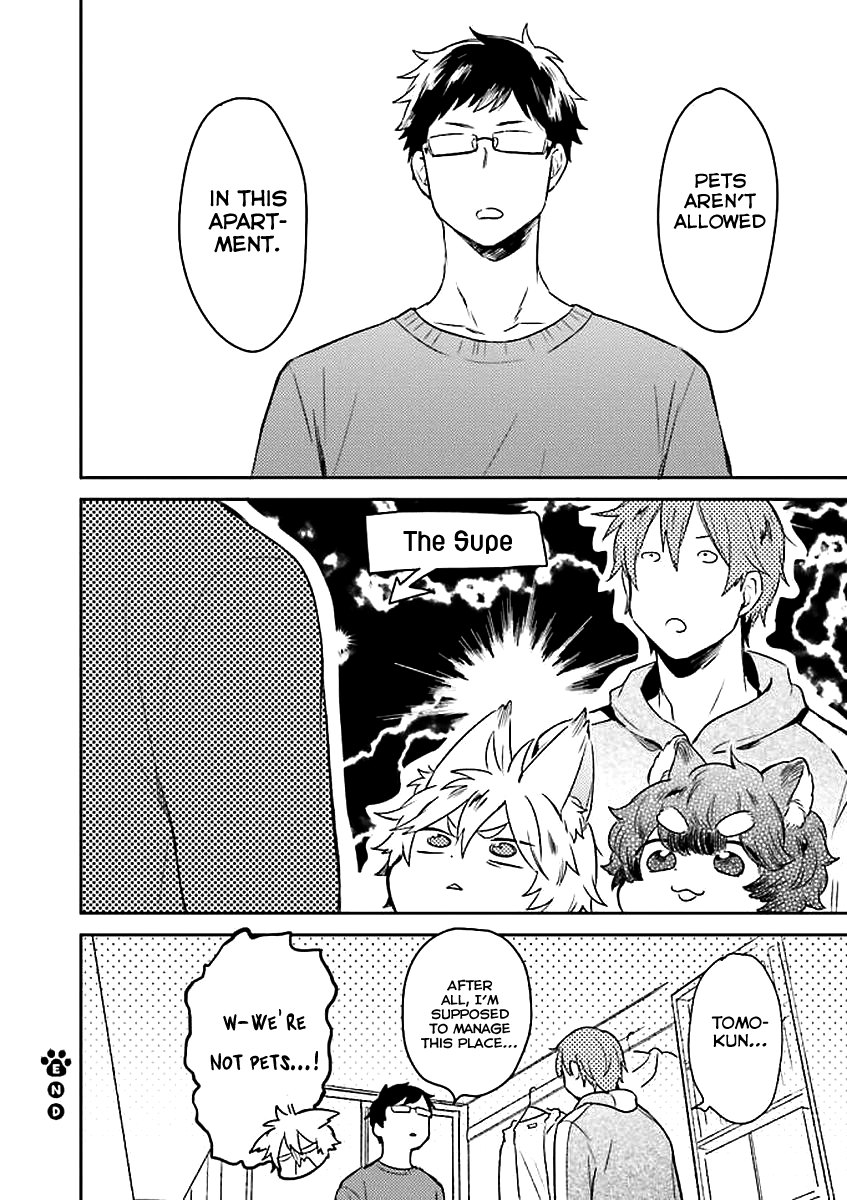Mofumofu no Kamisama Sagashi Chapter 2 page 19 - Chapter 2
