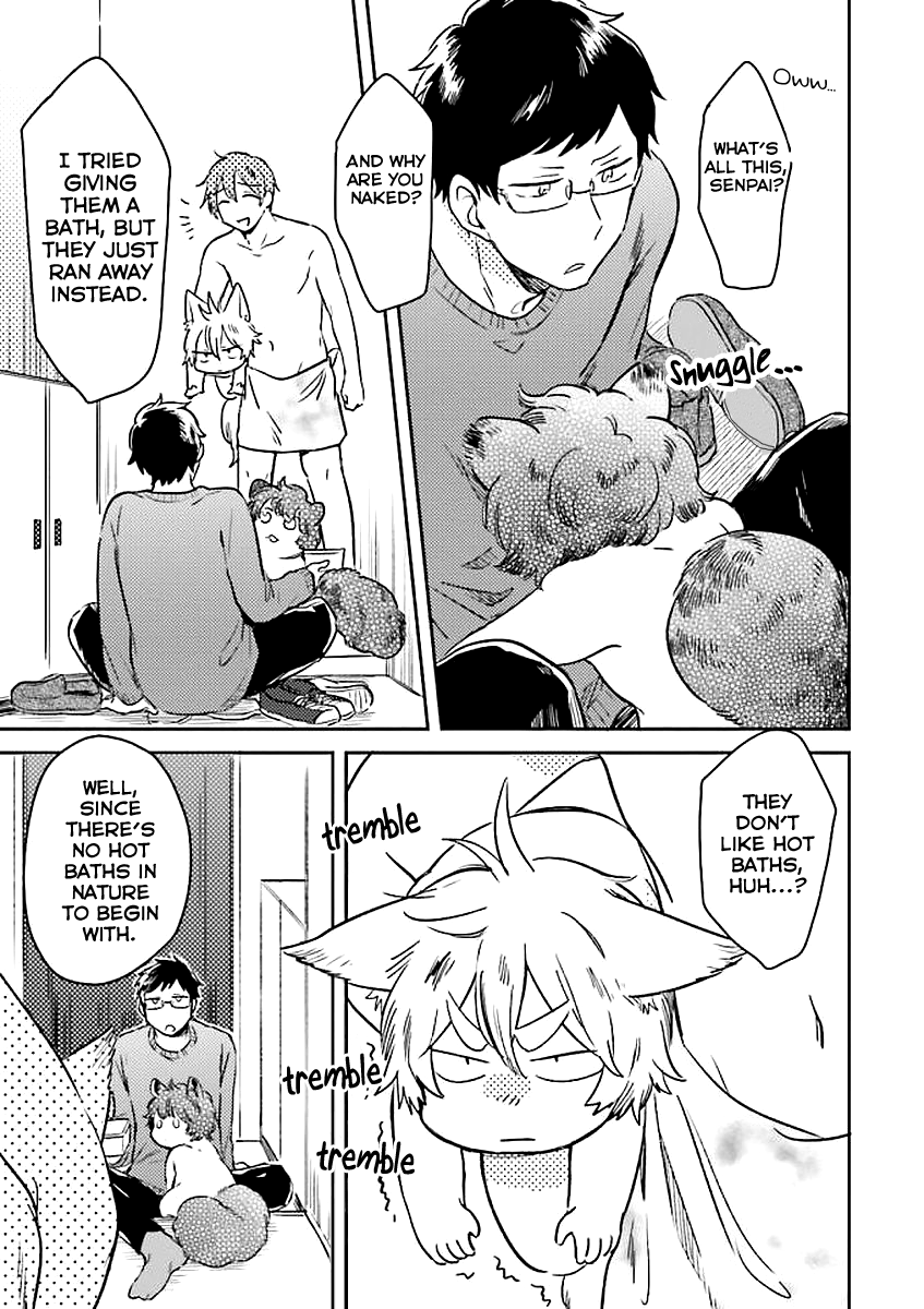 Mofumofu no Kamisama Sagashi Chapter 3 page 4 - Chapter 3