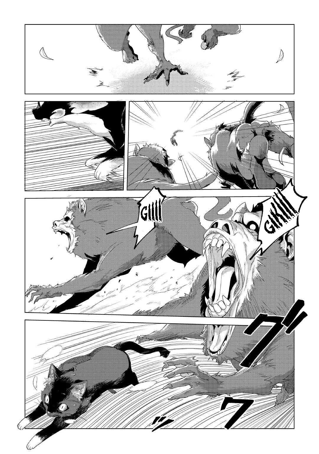 Mofumofu to Isekai Slow Life o Mezashimasu! Chapter 18 page 11 - Chapter 18: Together With The Forest's Kitten