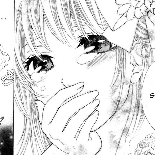 Momo Lover Chapter 13 cover