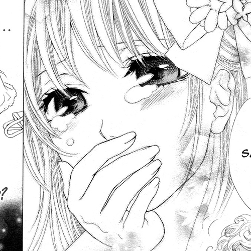 Momo Raba Chapter 13 cover