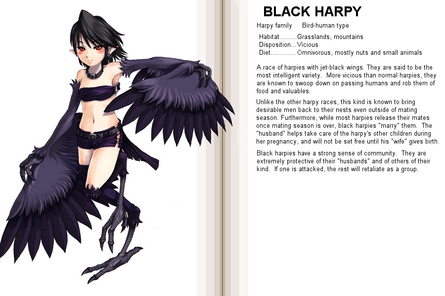 Monster Girl Encyclopedia Chapter 0 page 25 - Chapter 0 : Monster Girl Encyclopedia