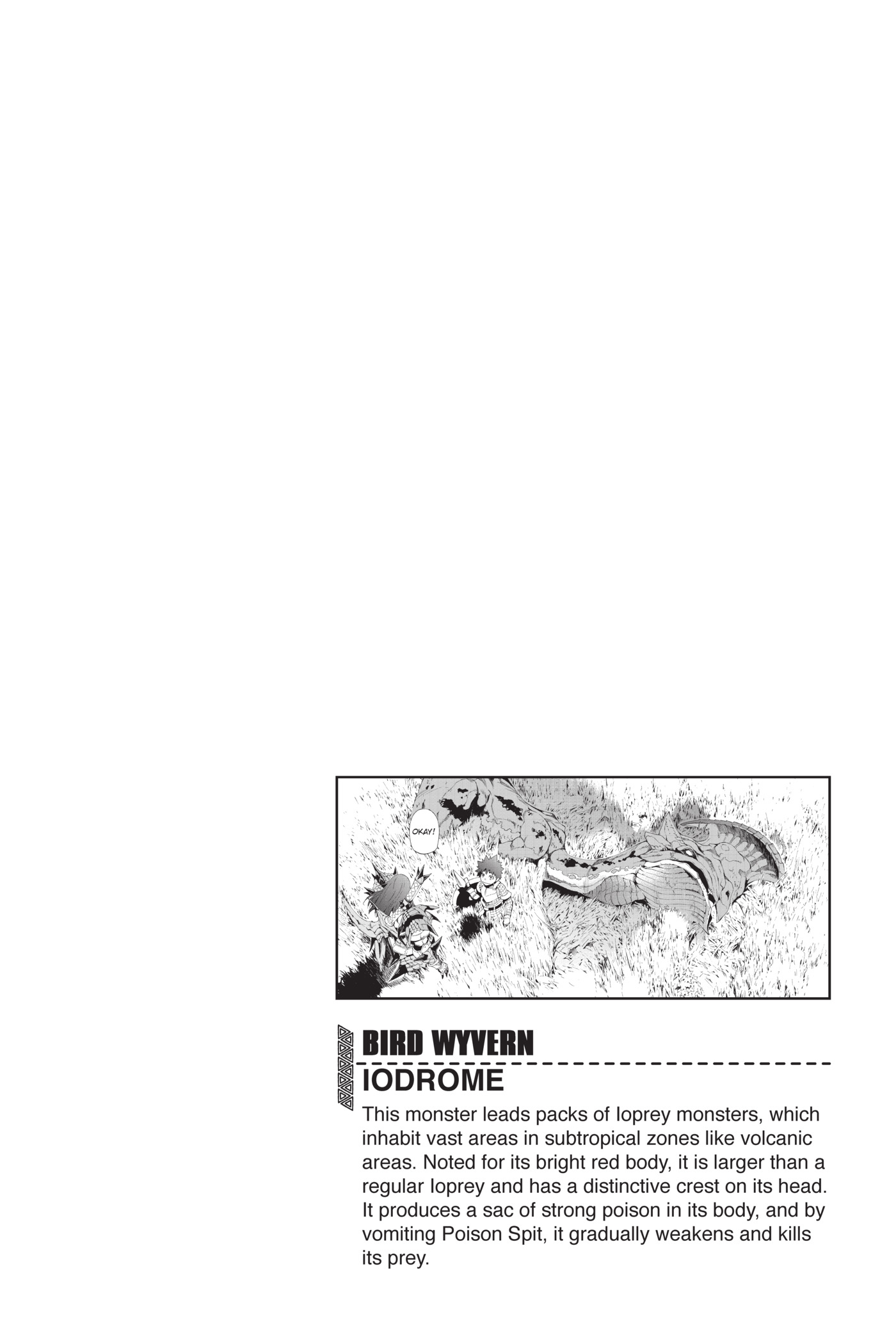 Monster Hunter - Senkou no Kariudo Chapter 36 page 22 - Chapter 36: Restructuring