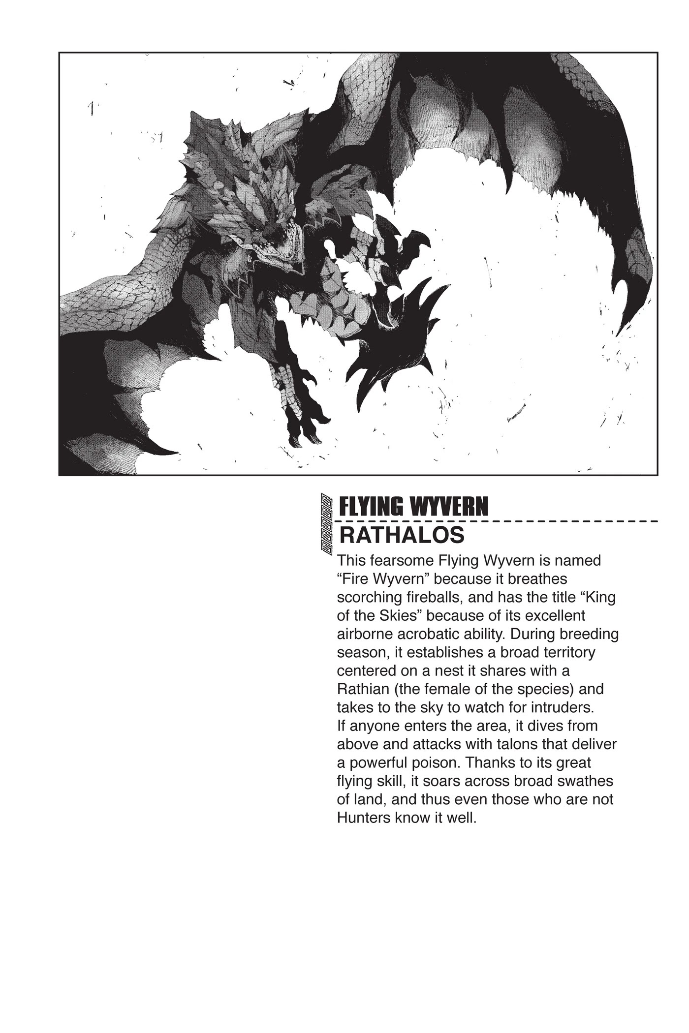 Monster Hunter - Senkou no Kariudo Chapter 54 page 23 - Chapter 54: Shining Sea