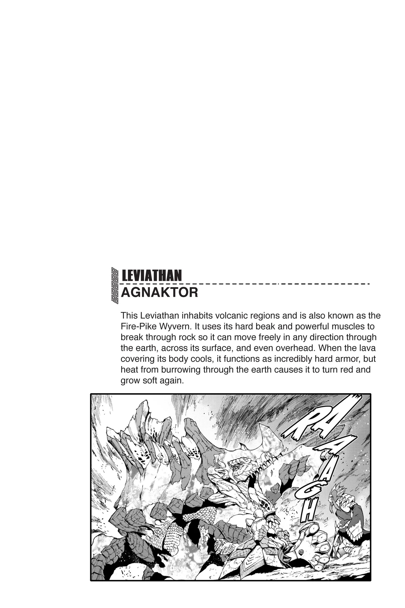 Monster Hunter - Senkou no Kariudo Chapter 64 page 27 - Chapter 64: Light and Shadow