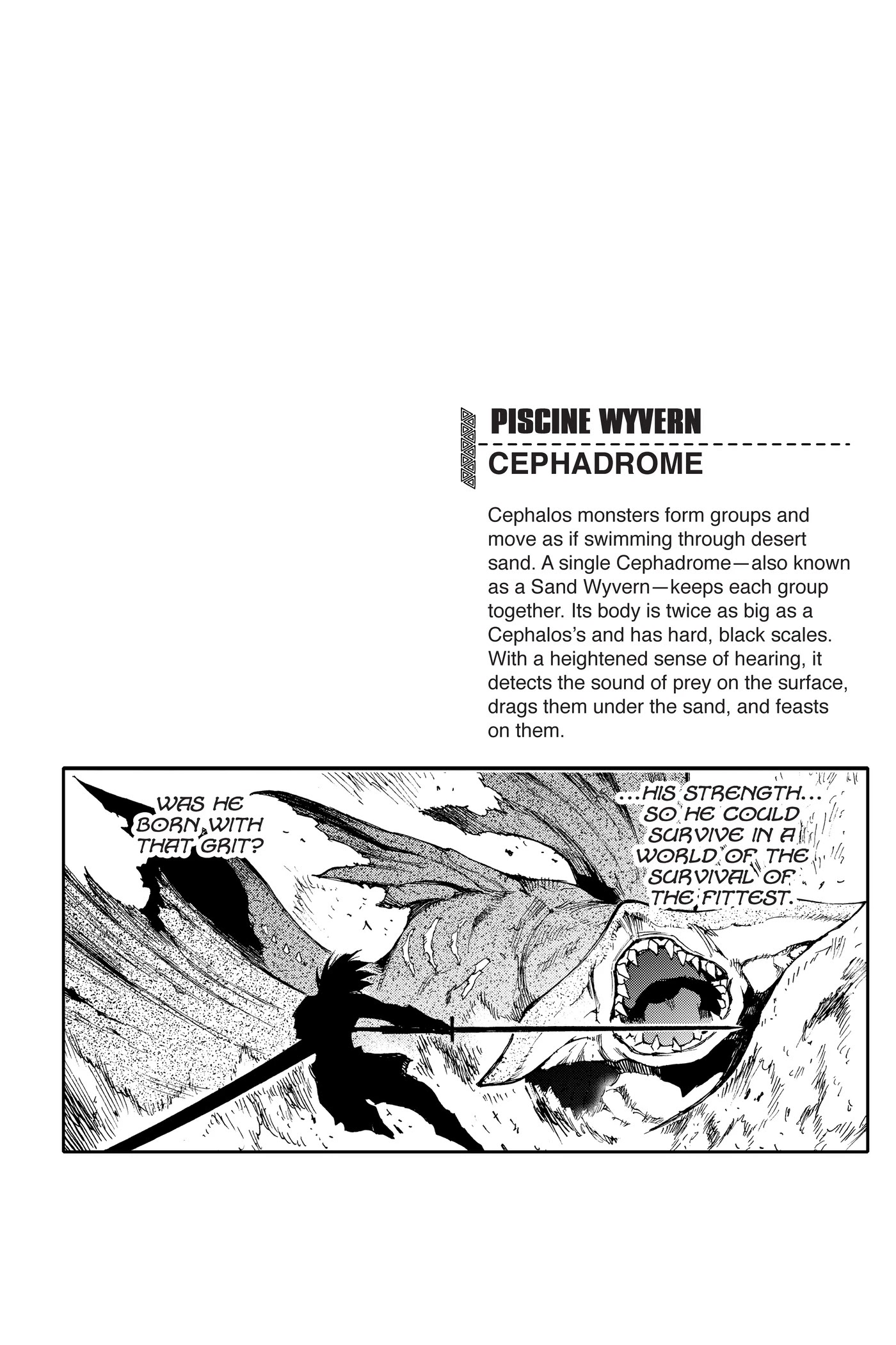 Monster Hunter - Senkou no Kariudo Chapter 67 page 21 - Chapter 67: Like the Sun