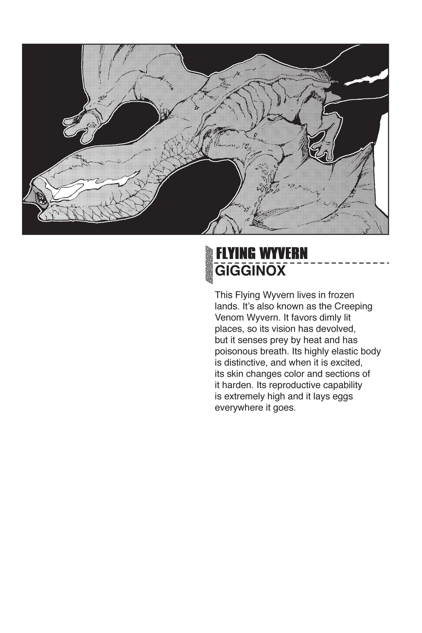 Monster Hunter - Senkou no Kariudo Chapter 72 page 29 - Chapter 72: Visitor from the Shadows