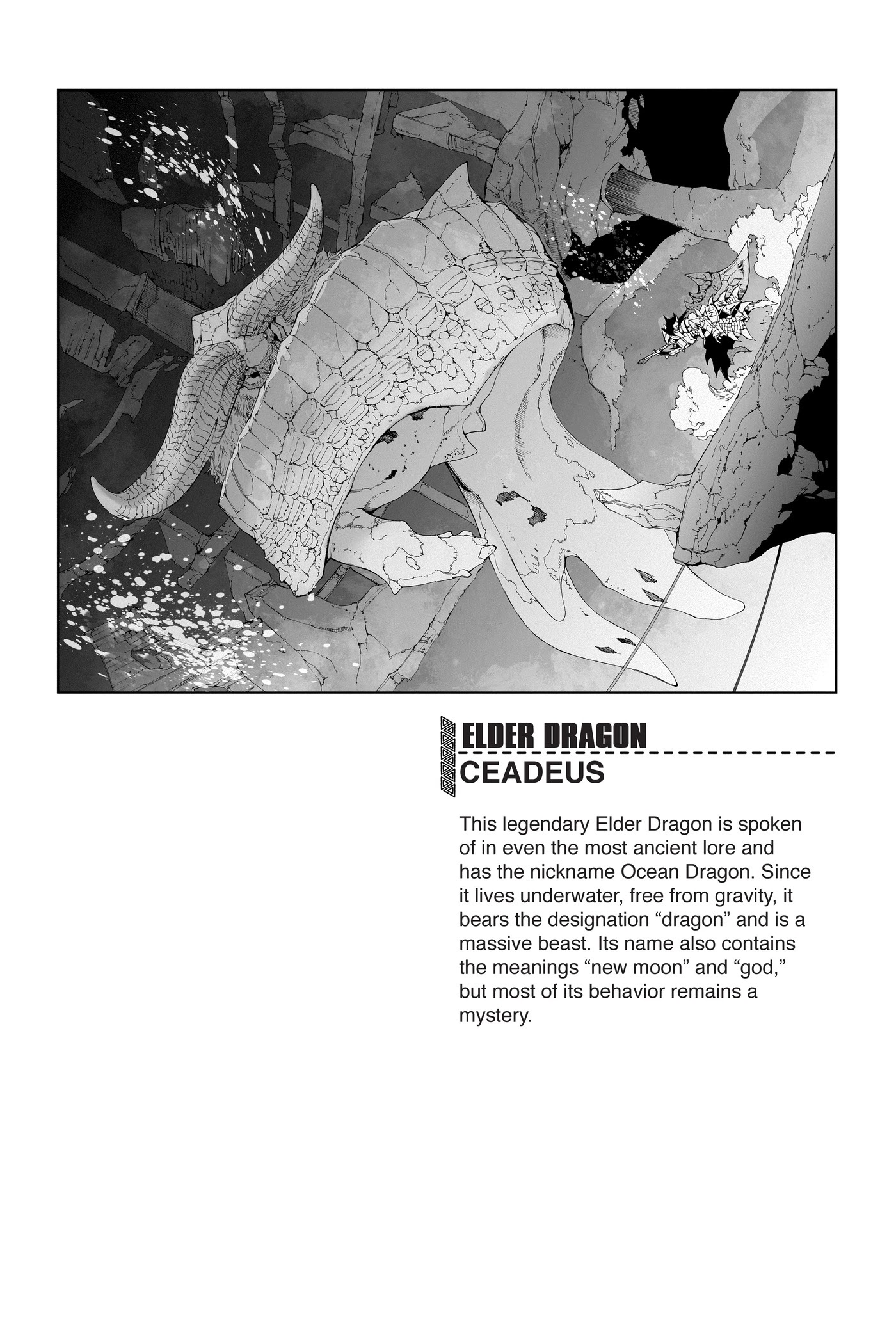 Monster Hunter - Senkou no Kariudo Chapter 76 page 22 - Chapter 76: In Sync