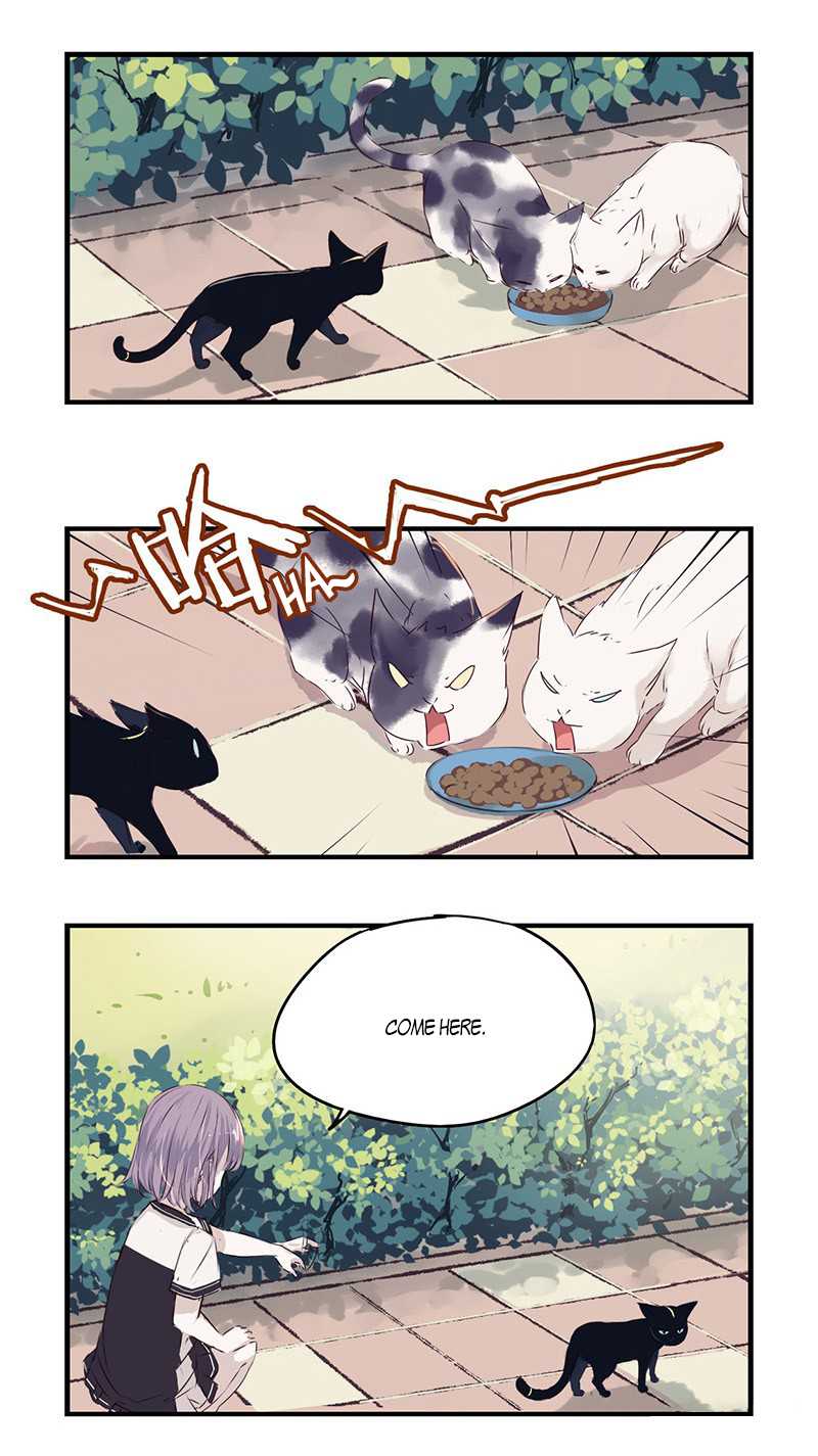 Monster (W.P) Chapter 31.1 page 7 - Chapter 31.1: Lil' Black (2)