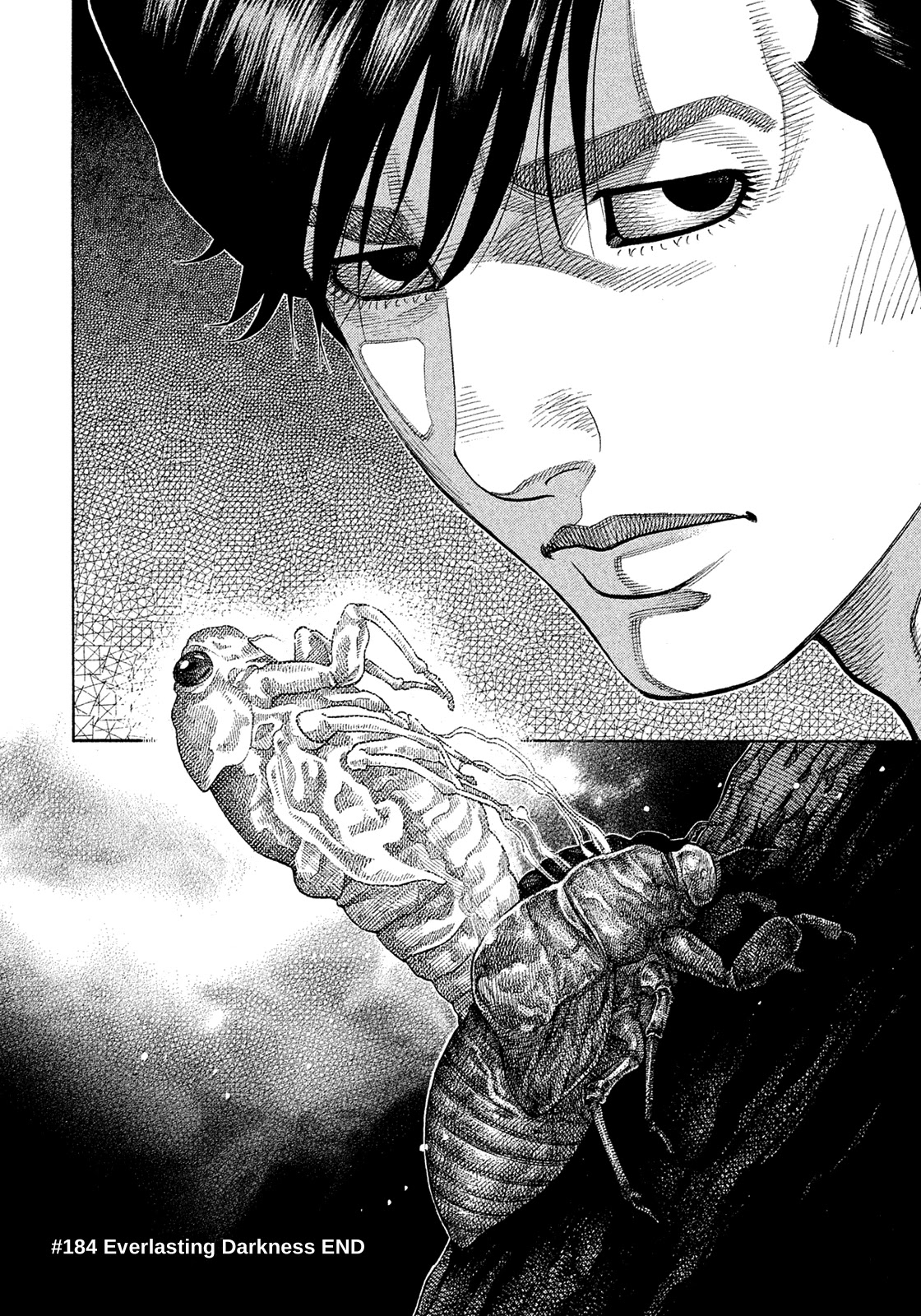Montage (WATANABE Jun) Chapter 184 page 17 - Chapter 184: Everlasting Darkness