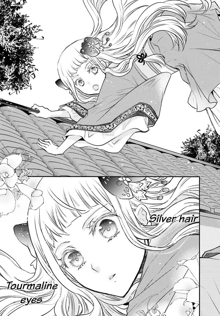 Moon Flower Country's Strange Doctor Chapter 4 page 34 - Chapter 4