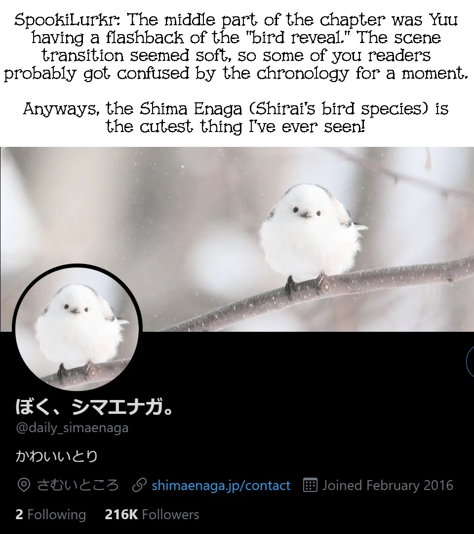 Moukin-chan Chapter 12 page 17 - Chapter 12: 12th Feather: This Town's Secret