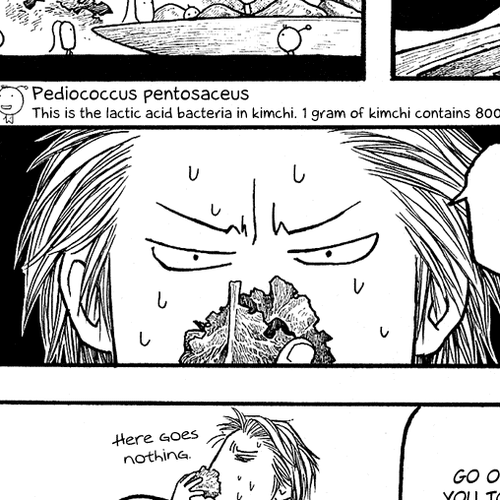 Moyashimon Chapter 6: The Second Day cover
