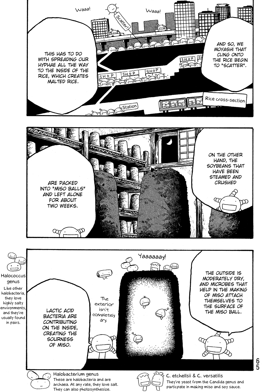 Moyashimon Chapter 79 page 8 - Chapter 79: Chance Meeting - Rice and Koji, or Yuu and Kei