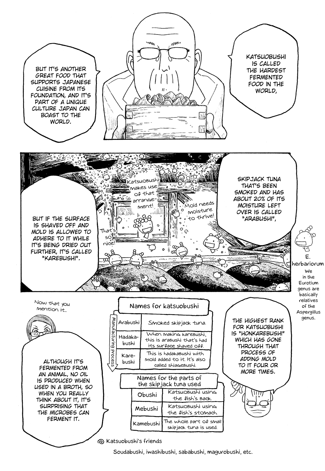 Moyashimon Chapter 92 page 5 - Chapter 92: What's Beer? Itsuki Version