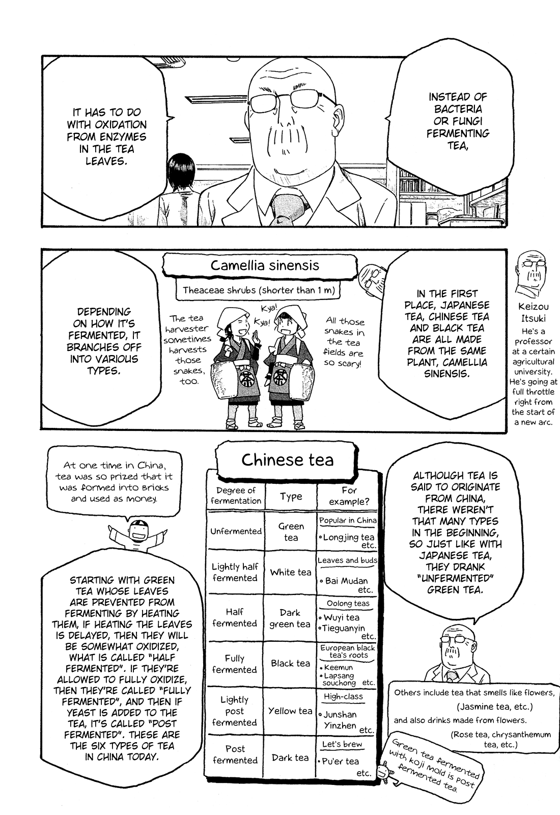 Moyashimon Chapter 99 page 13 - Chapter 99: Would You Like Some Tea?
