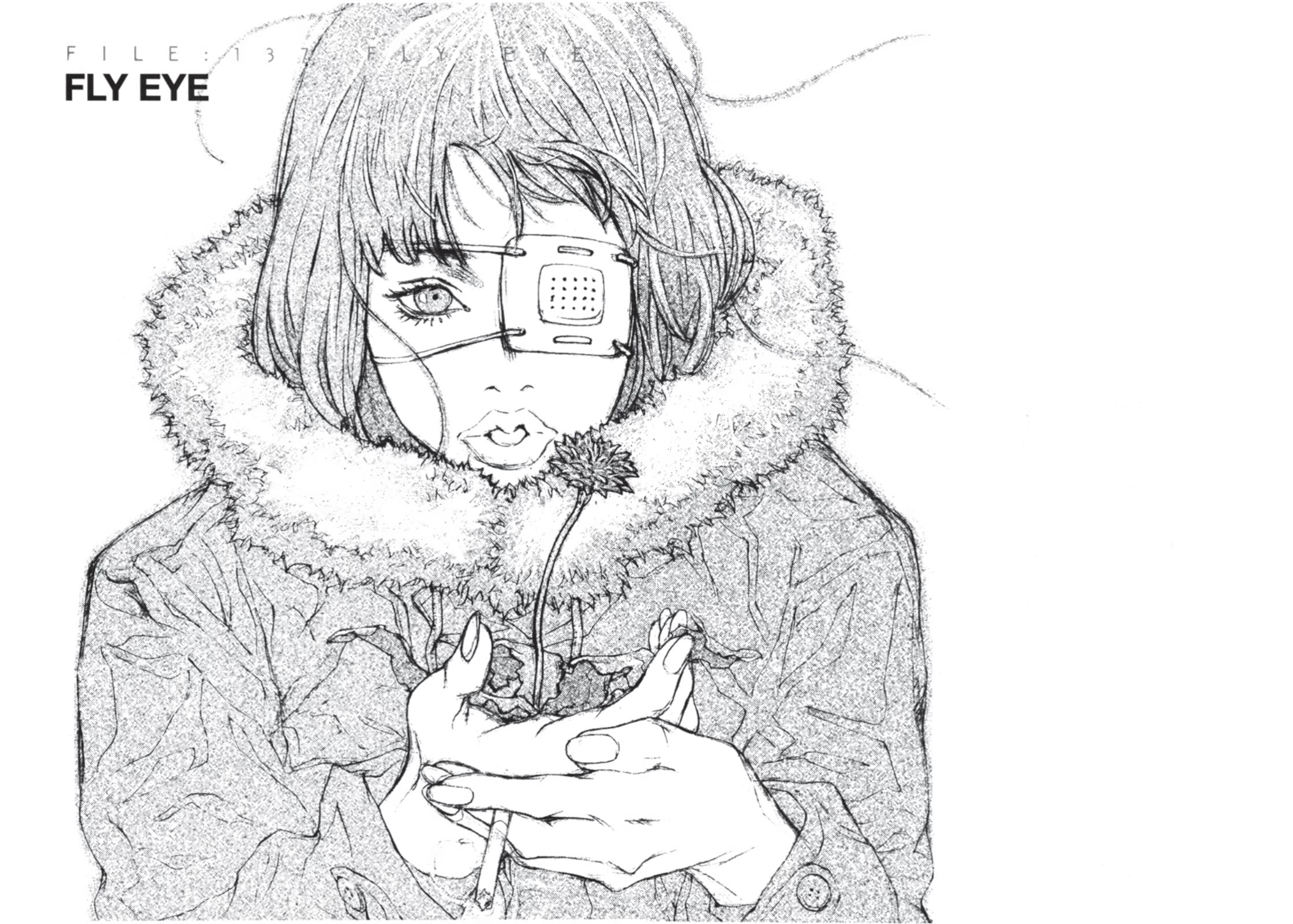 MPD Psycho Chapter 137 page 2 - Chapter 137: FLY EYE