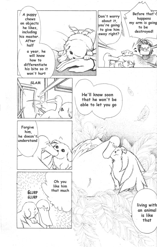 Mr. Fredward's Duck Chapter 4 page 19 - Chapter 4: Companion Animal