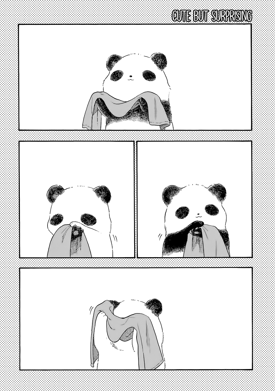 Mr. Villain's Day Off Chapter 34 page 3 - Chapter 34: Mr. Villain And The Pandaful Days