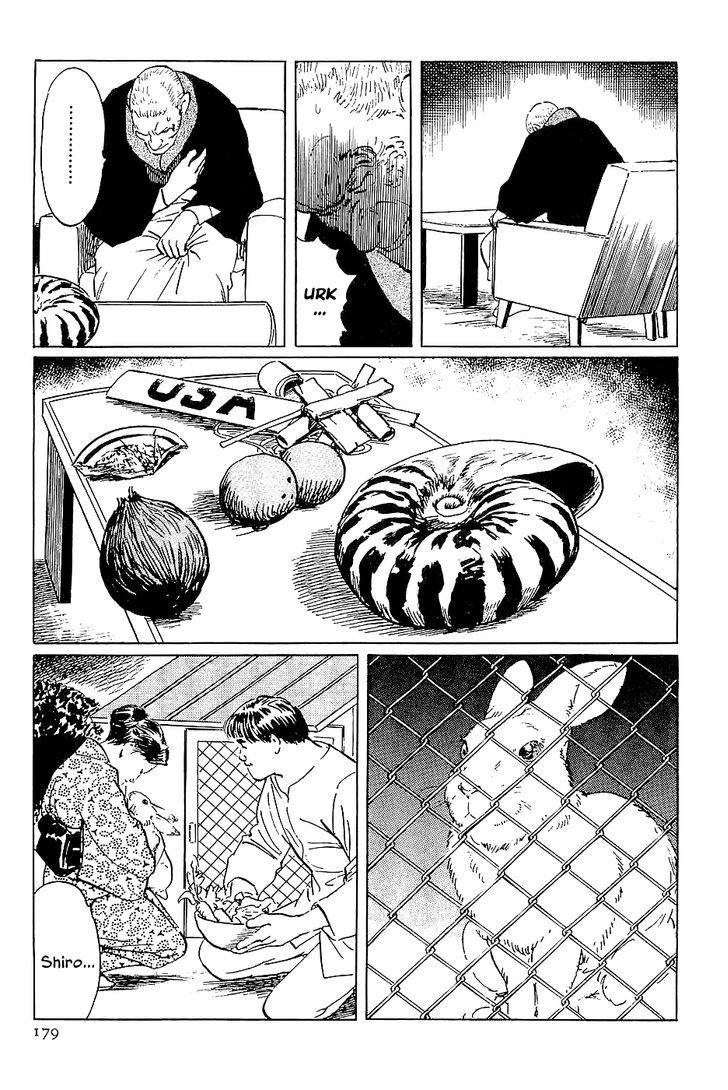 Munakata Kyouju Denkikou Chapter 28 page 11 - Chapter 28 : The Hare of Winter