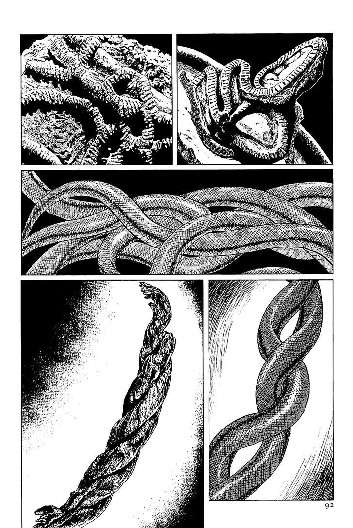 Munakata Kyouju Denkikou Chapter 38 page 4 - Chapter 38 : The Snake God's Fusion