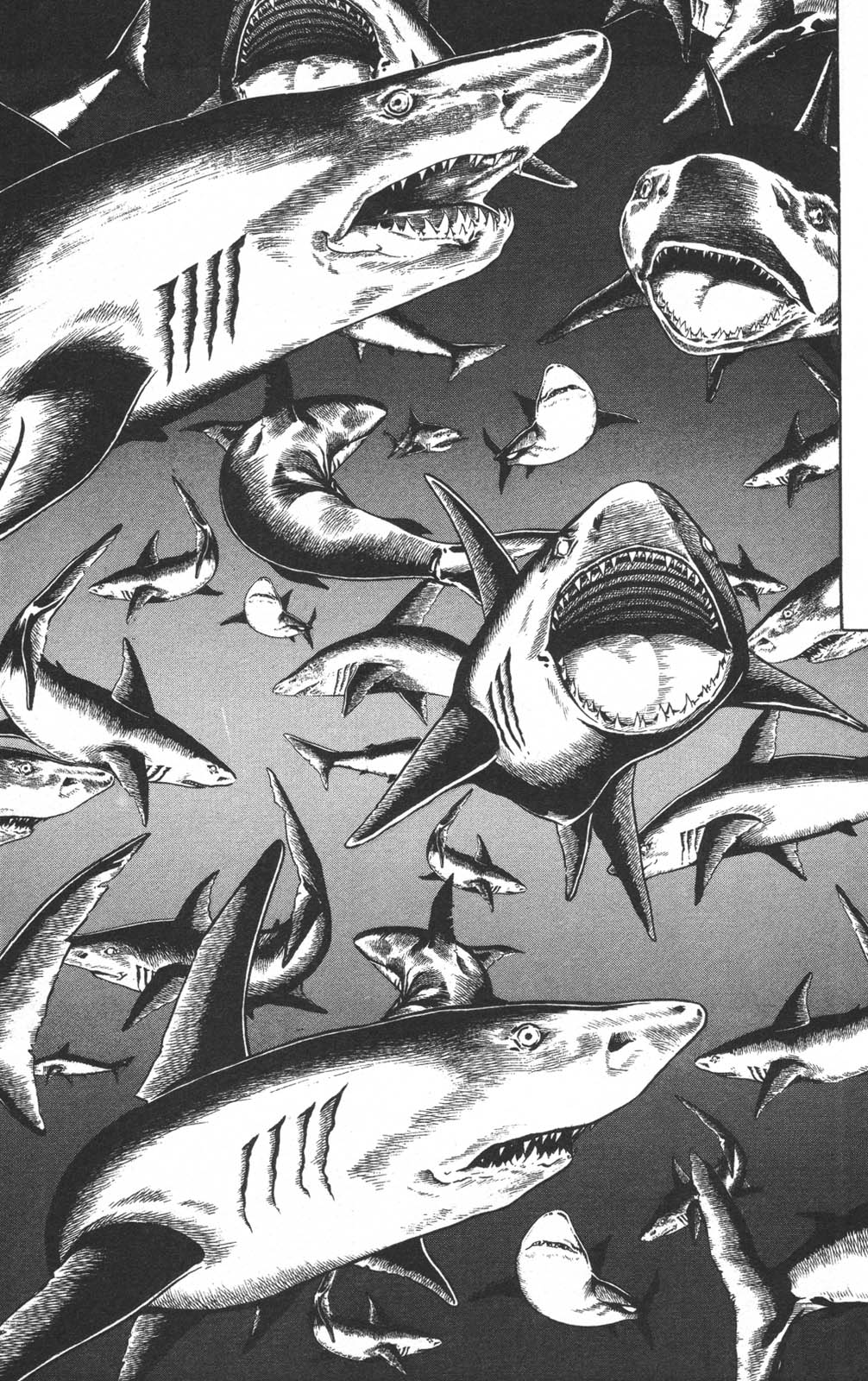 Murder License Kiba Chapter 14 page 22 - Chapter 14: Fangs in the Raging Sea!!
