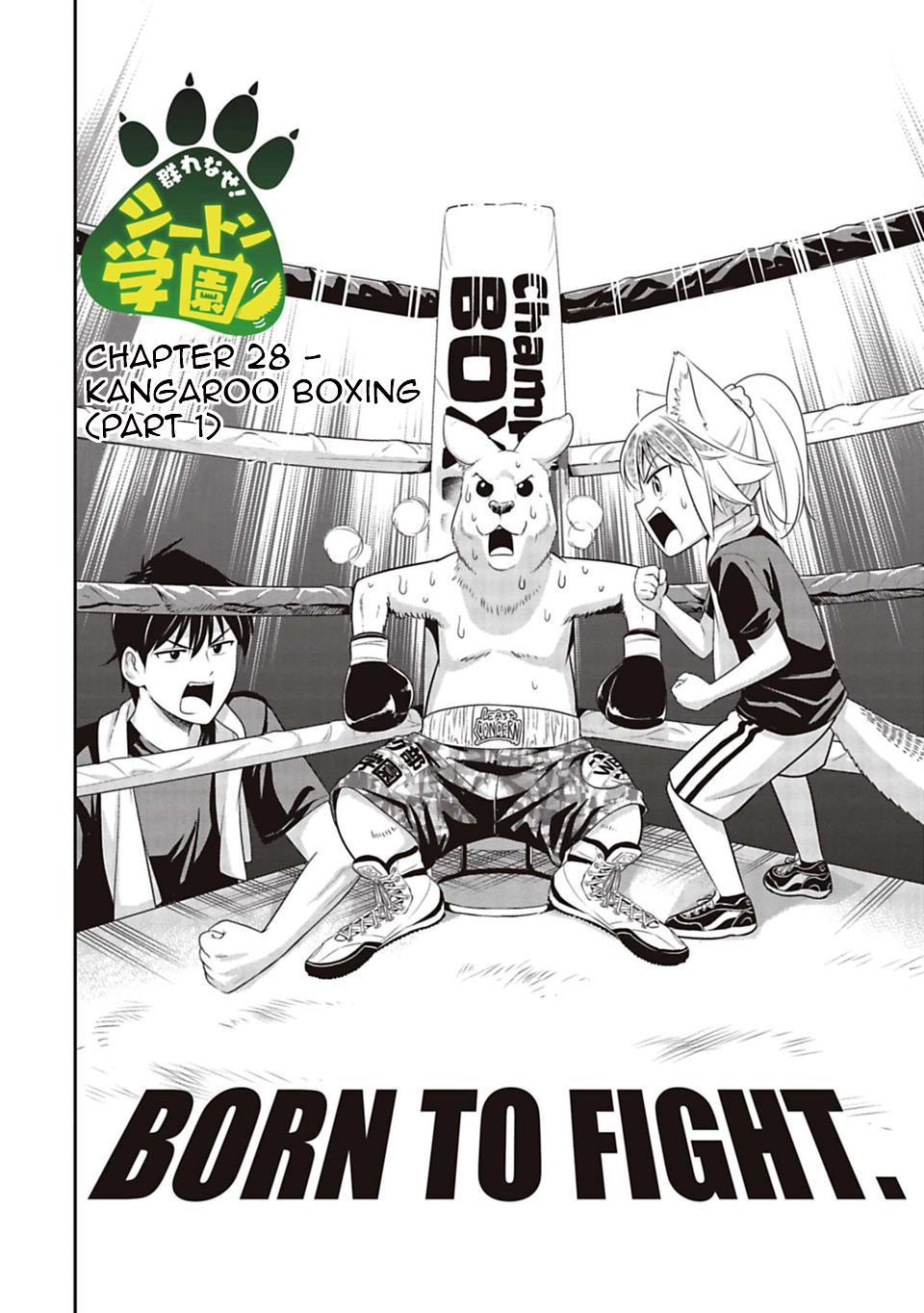Murenase! Shiiton Gakuen Chapter 28 page 4 - Chapter 28: Kangaroo Boxing, Part 1
