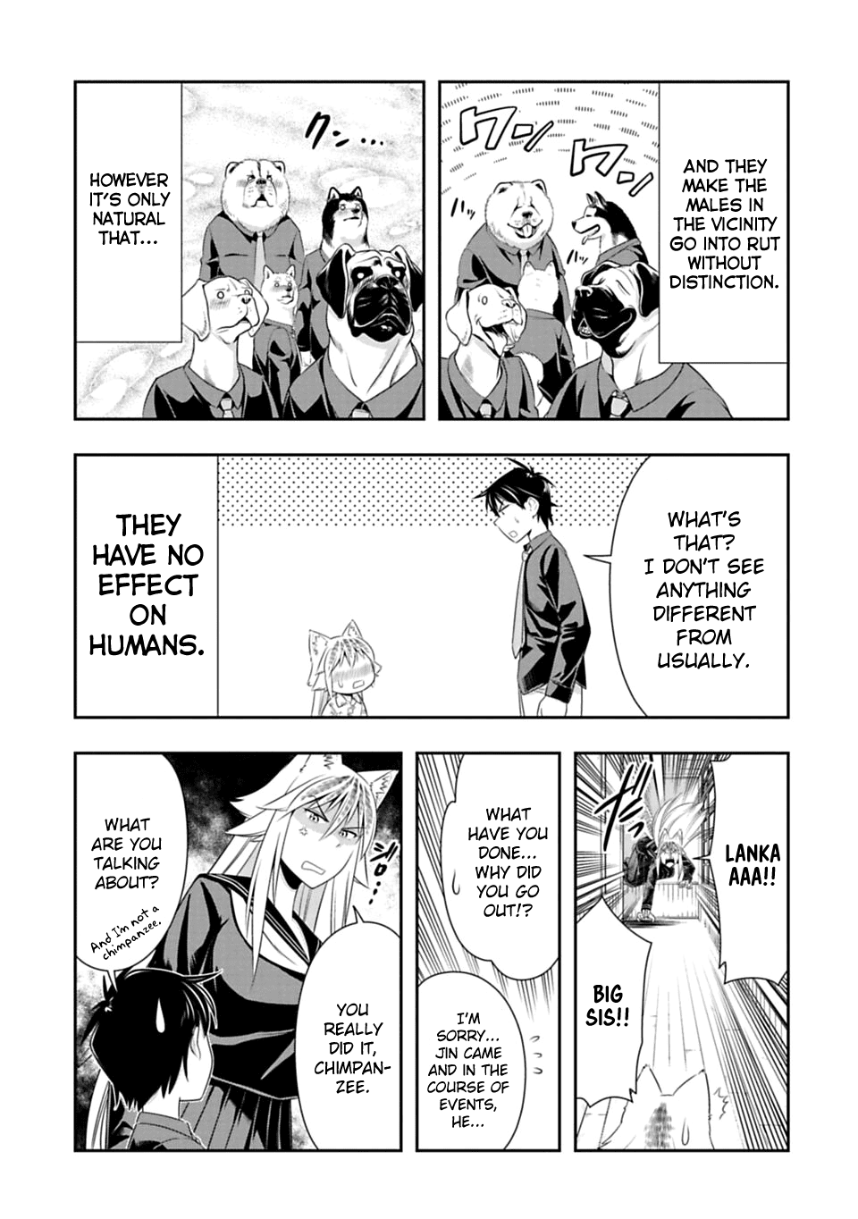 Murenase! Shiiton Gakuen Chapter 44 page 12 - Chapter 44: The Wolf mating period.