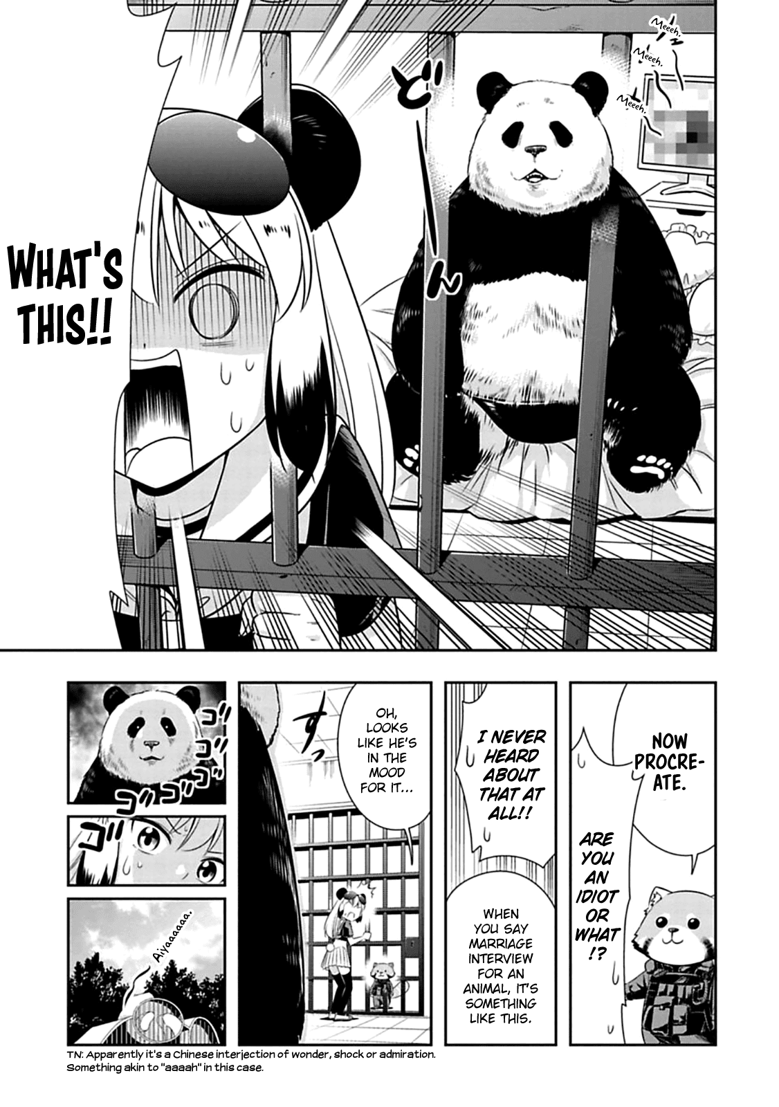 Murenase! Shiiton Gakuen Chapter 59 page 19 - Chapter 59: The panda's marriage interview