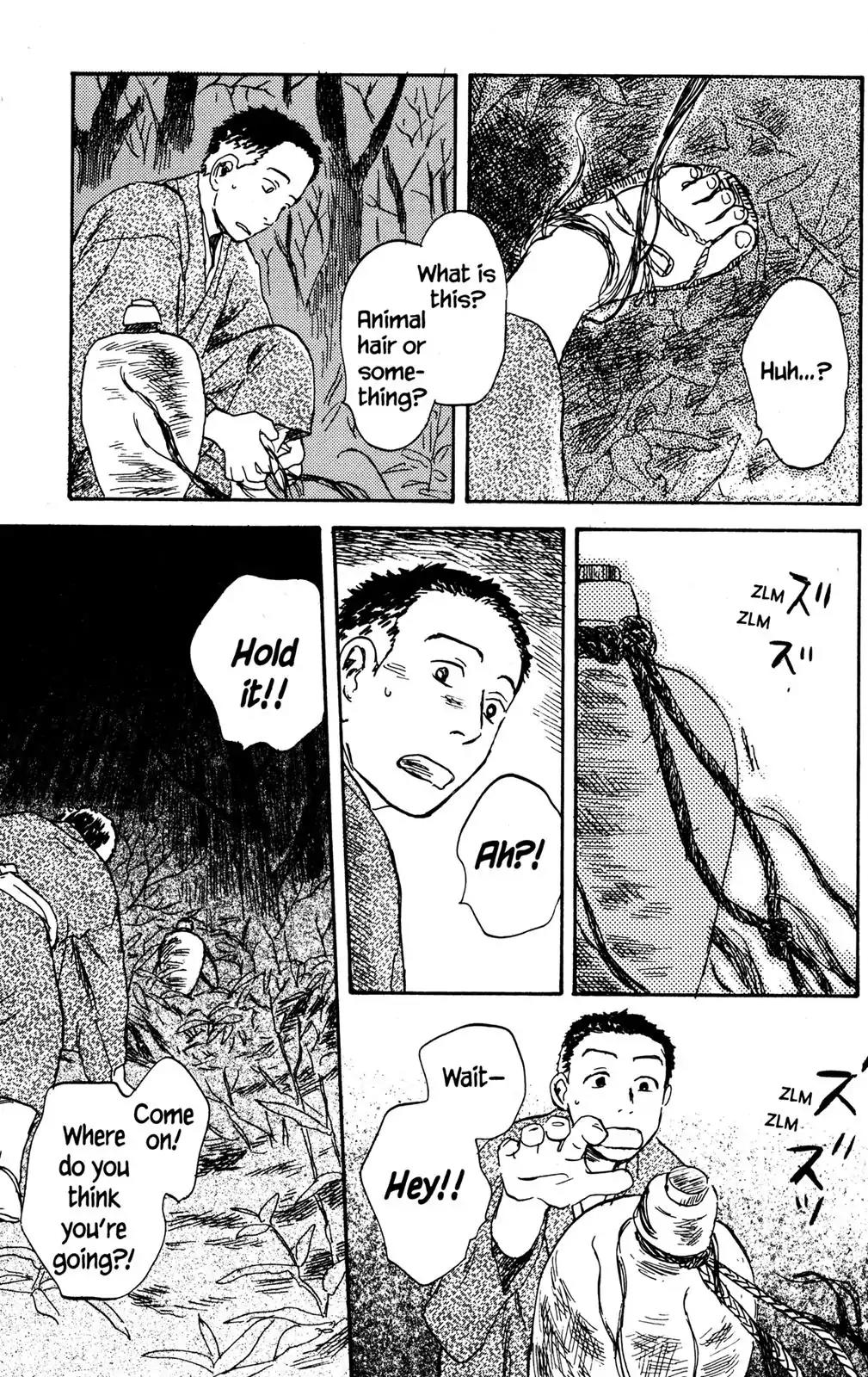 Mushishi Chapter 30 page 13 - Chapter 30