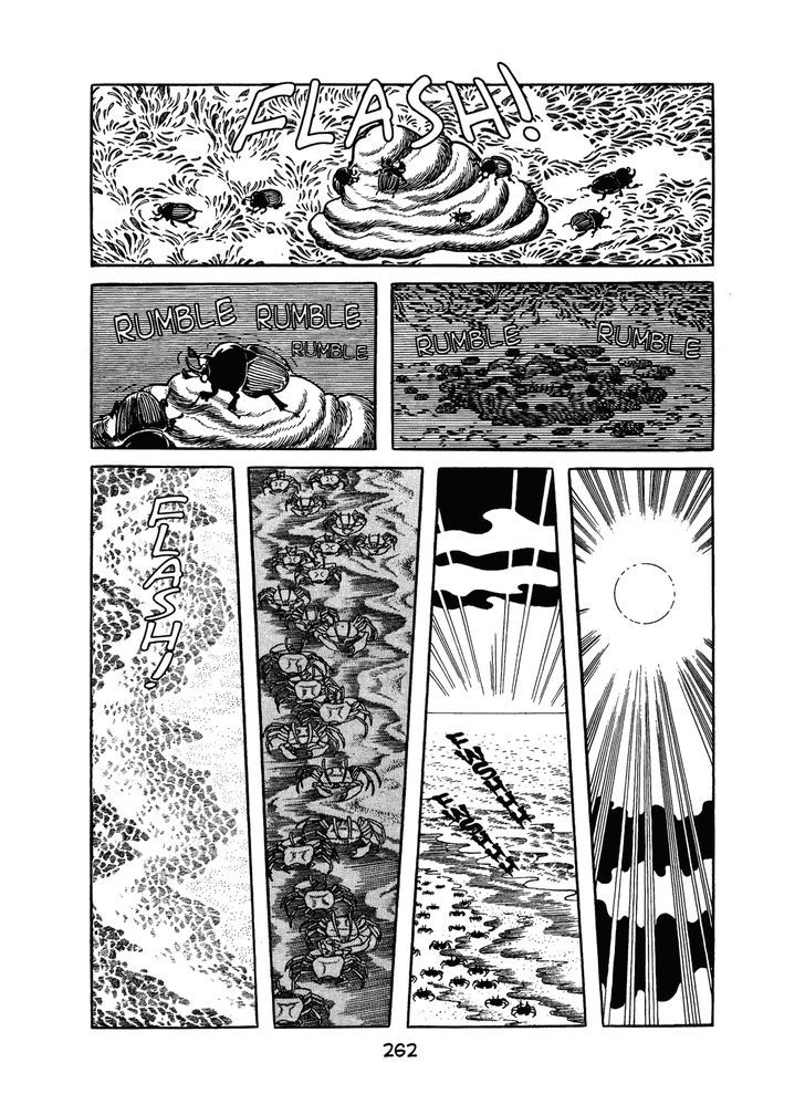 MW Chapter 13 page 4 - Chapter 13