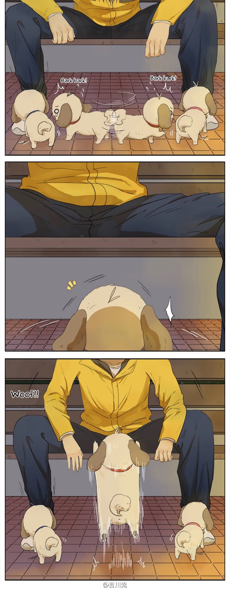 My Brother is A Big Idiot! Chapter 46 page 5 - Chapter 46: There was an accident when walking the dog