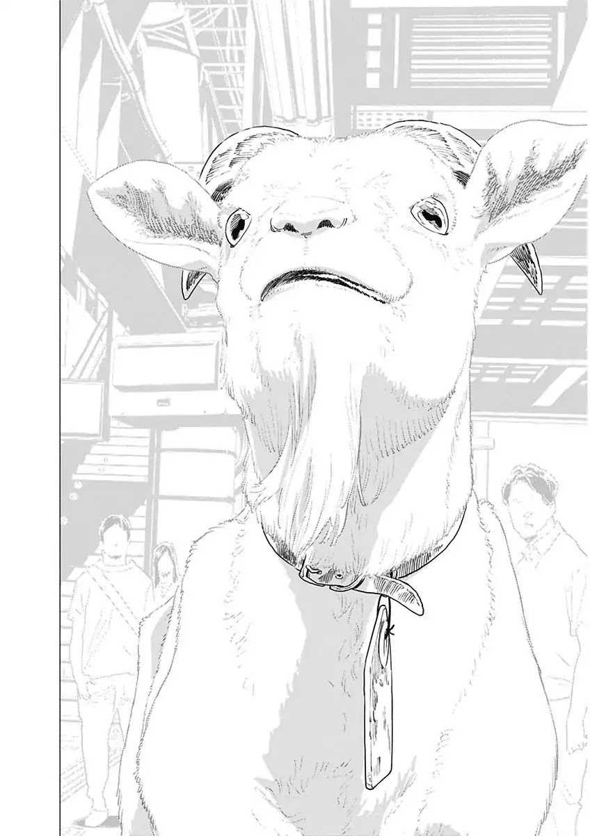 My Capricorn Friend Chapter 5 page 11 - Chapter 5